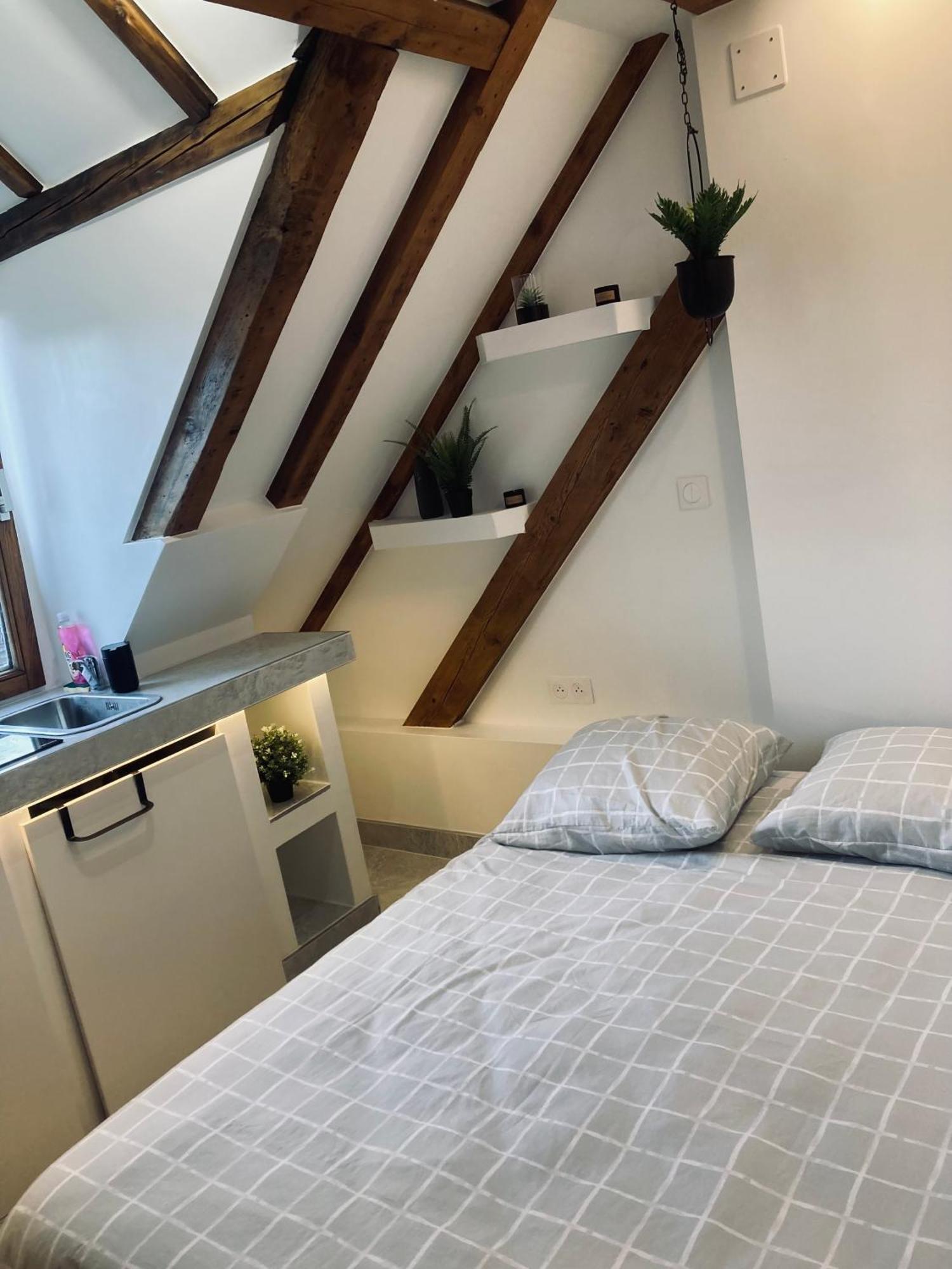 Apartament Petit Nid Sympa A Strasburg Zewnętrze zdjęcie